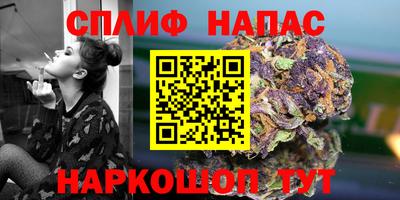 PSILOCYBIN Кинель
