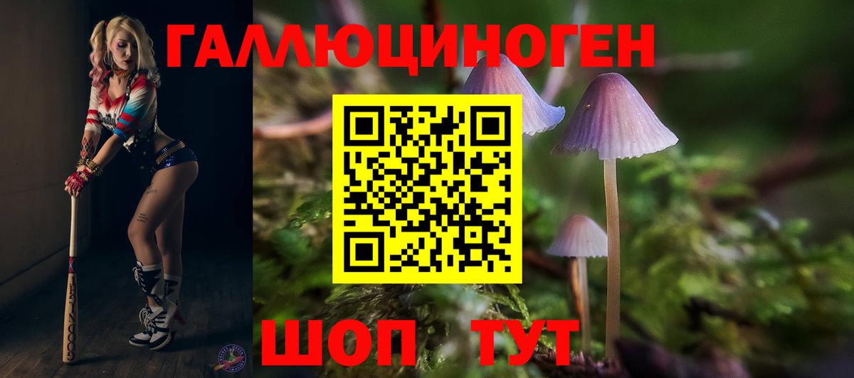 Псилоцибиновые грибы Psilocybe  Вход с VPN  Звенигород 
